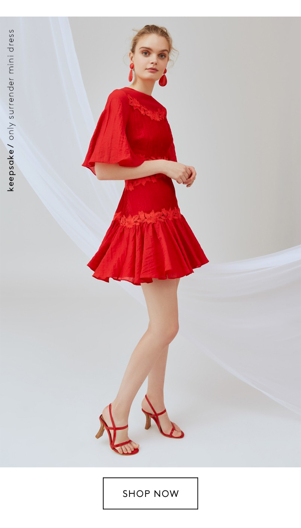 keepsake only surrender mini dress