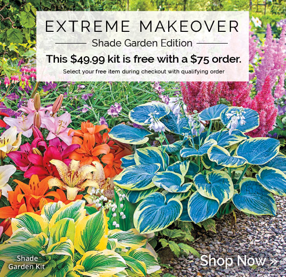 Total Shade Garden Makeover—your FREE kit! Milled
