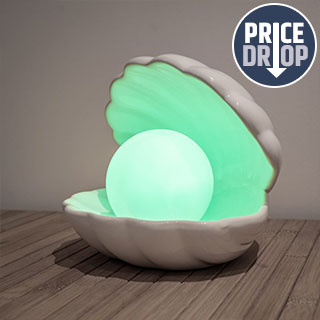 Colour Changing Clam Light Colour Changing Clam Light