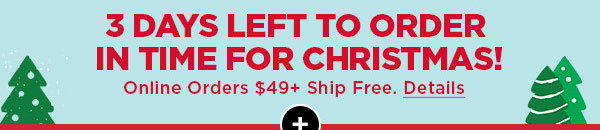 3 Days Left to Order In Time for Christmas