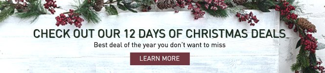 Blog 12 deals of christmas