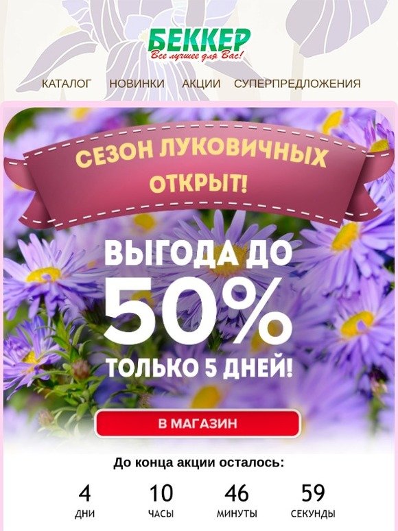 Беккер Интернет Магазин Распродажа