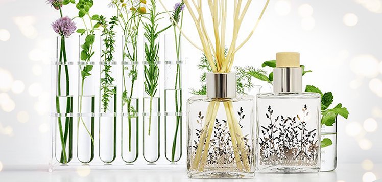 Premium Diffusers With Qualitas Candles