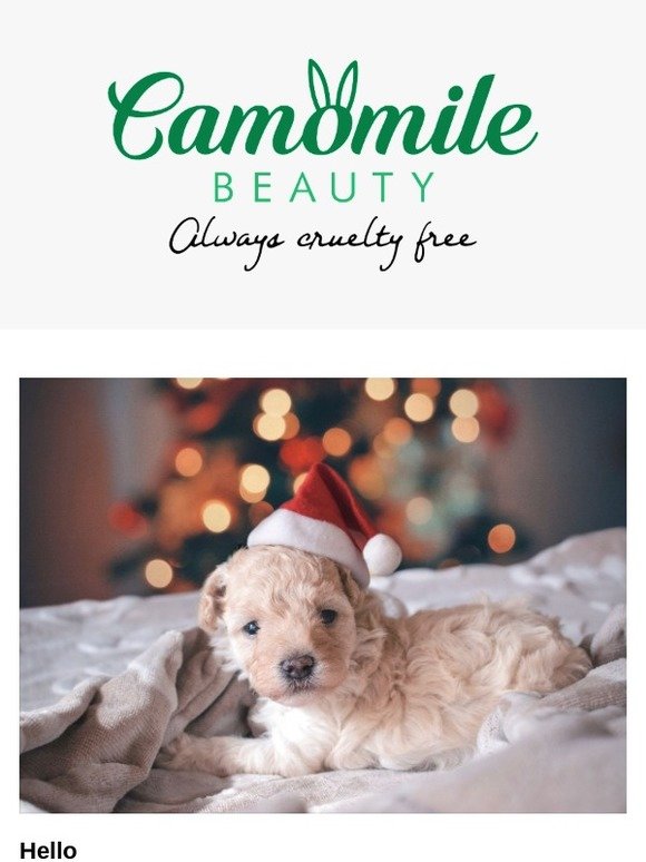 We wish you a Merry Christmas 🎅🎁Nous vous souhaitons un Joyeux Noël
