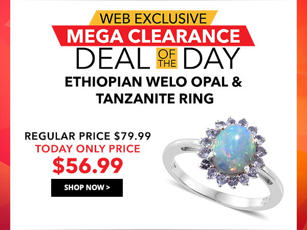 MEGA CLEARANCE Deal of the Day