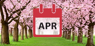 Apr 2019 Cruises