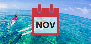 November 2019 Cruises