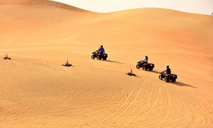 Half-Day Desert Safari with Optional Quad Biking
