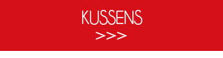 Kussens