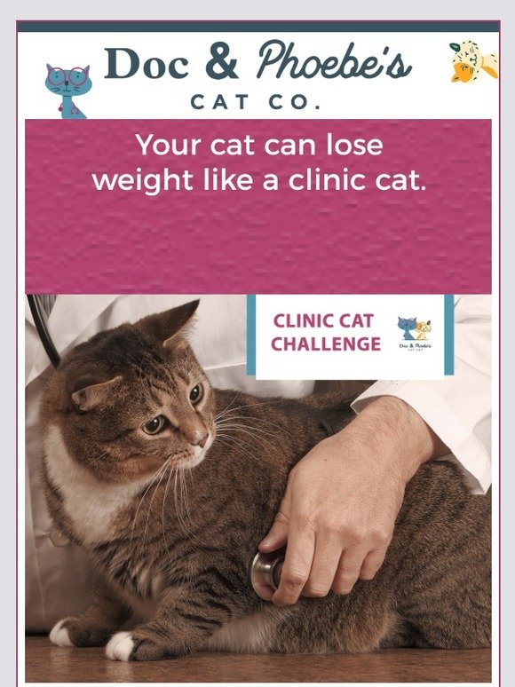 Save 15% for Feline Weight Loss with Doc & Phoebe’s Indoor Hunting Feeder