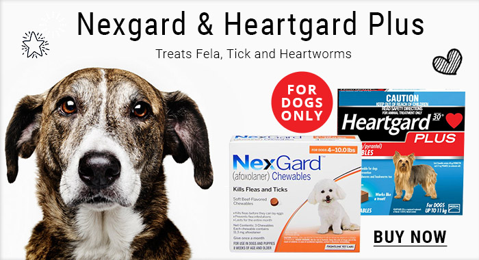 Buy discount hot sale heartgard plus