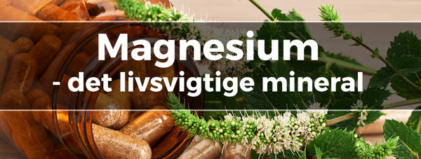 Helsebixen Magnesium beviste virkninger og hvilken du skal vælge Milled