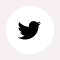 Follow Us On Twitter