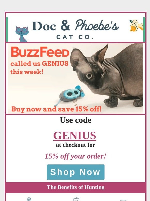 Buzzfeed calls Doc & Phoebe "Genius"