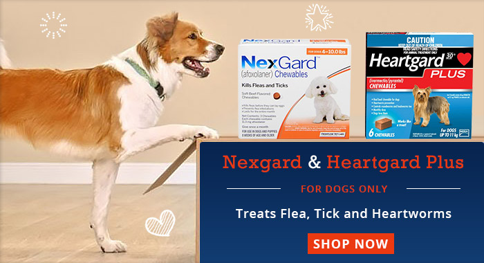 Discount nexgard best sale