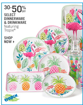 Shop 30-50% Off Select Dinnerware & Drinkware