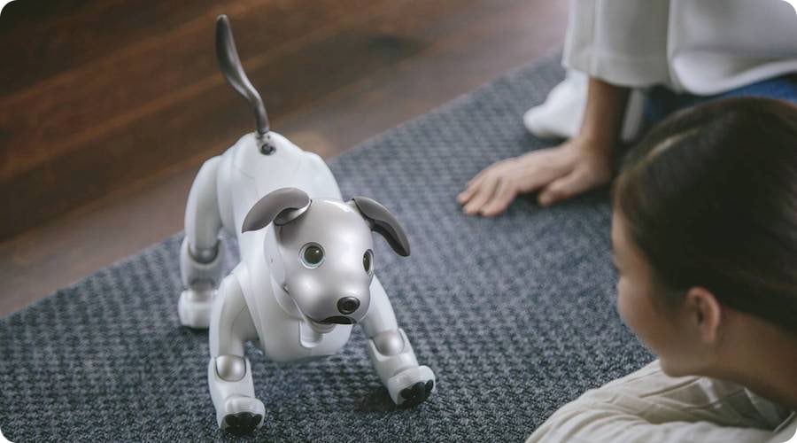 $3000 robot dog