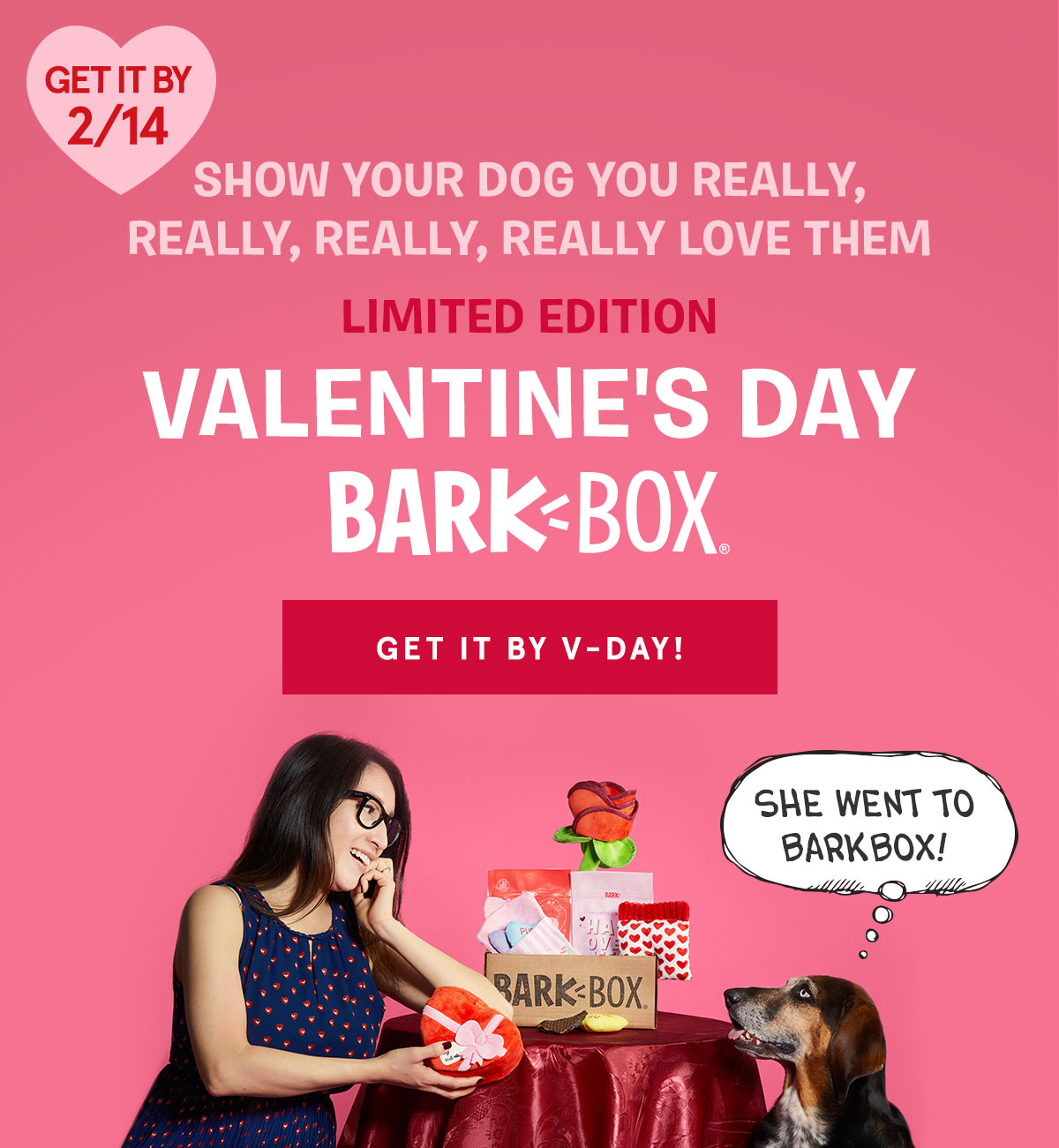 valentines day barkbox
