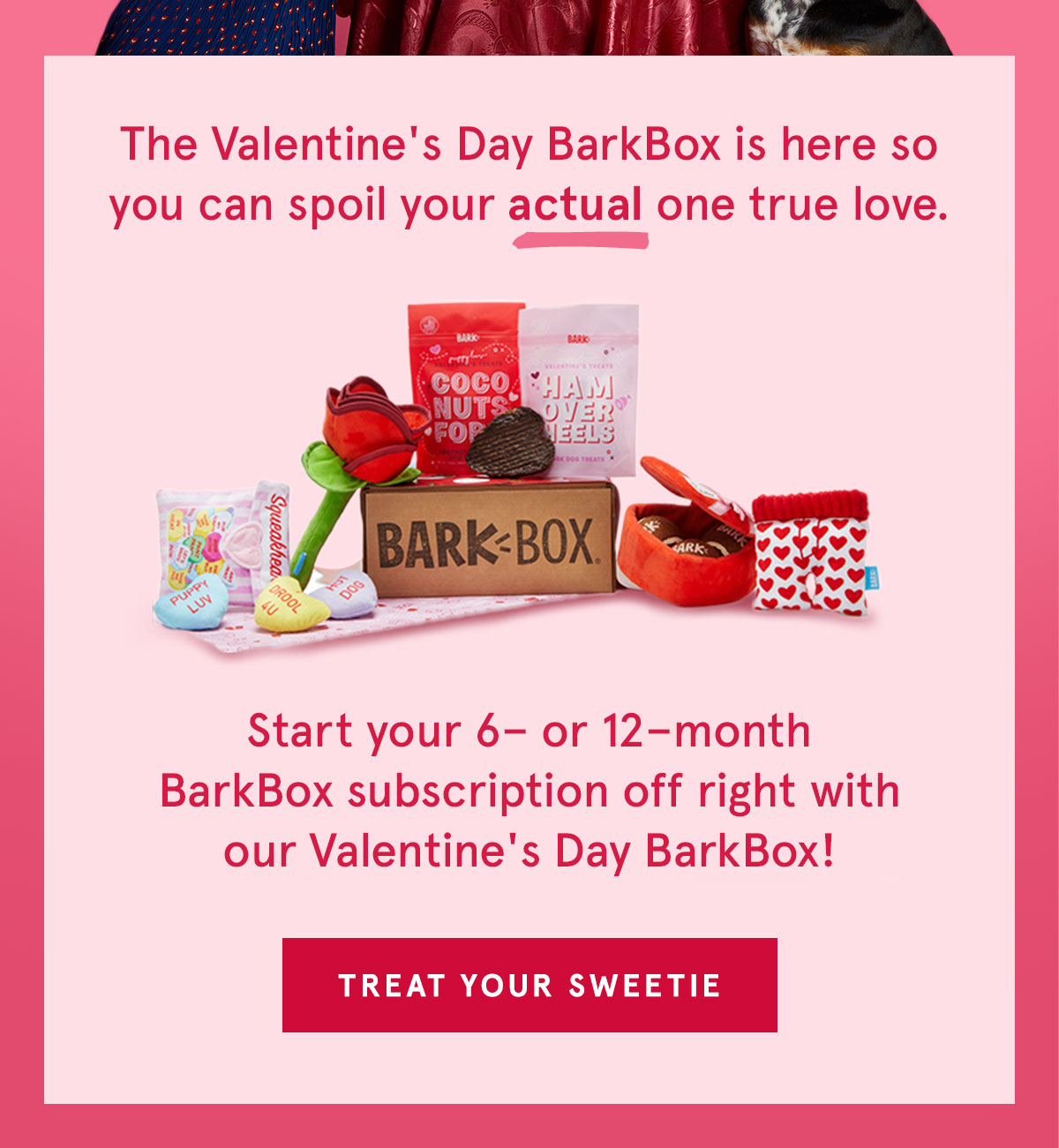 valentines barkbox