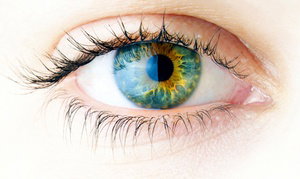  43% Off Custom LASIK at The LASIK Vision Institute 