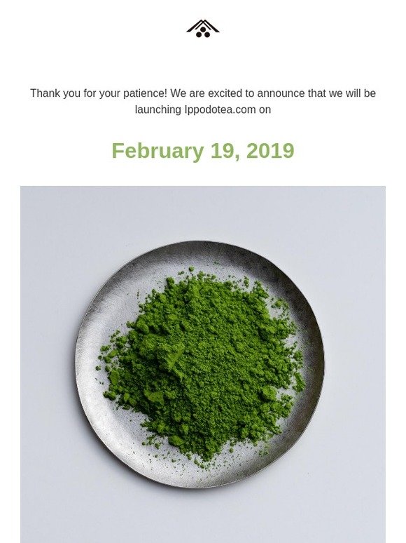 Ippodotea.com - Launching Feb 19!