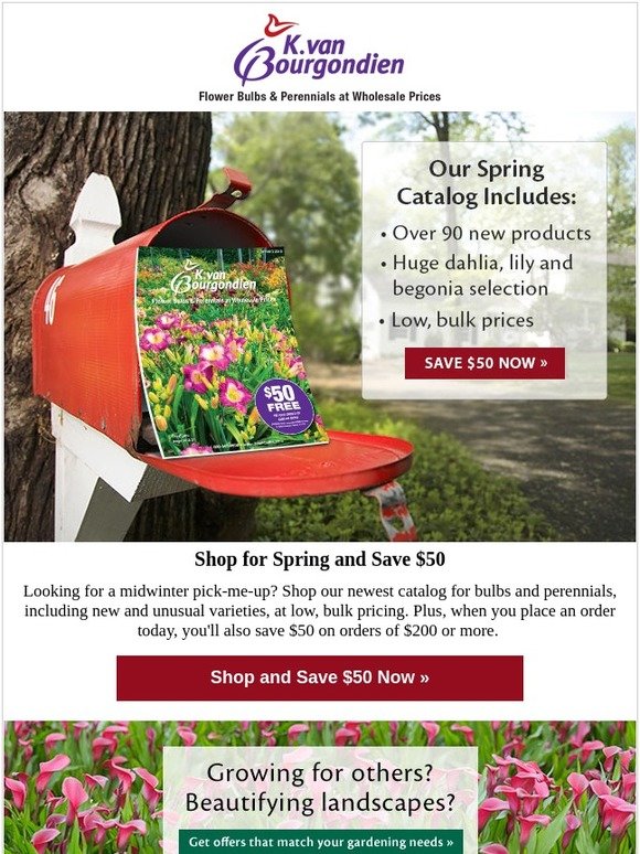 K. Van Bourgondien & Sons A new catalog + 50 Milled