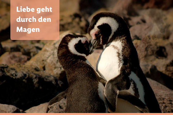 So lecker starten wir ins neue Jahr