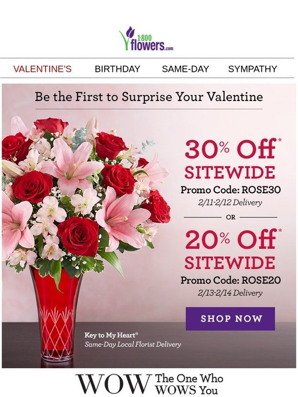 Darcy Cochran 1800 Flowers Birthday Promo Code 1 800 Flowers Com 