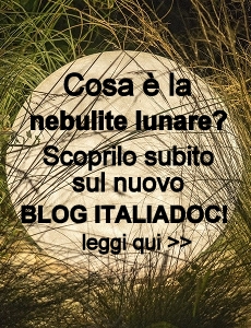 Blog Italiadoc
