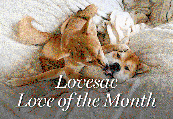 Lovesac Love of the Month