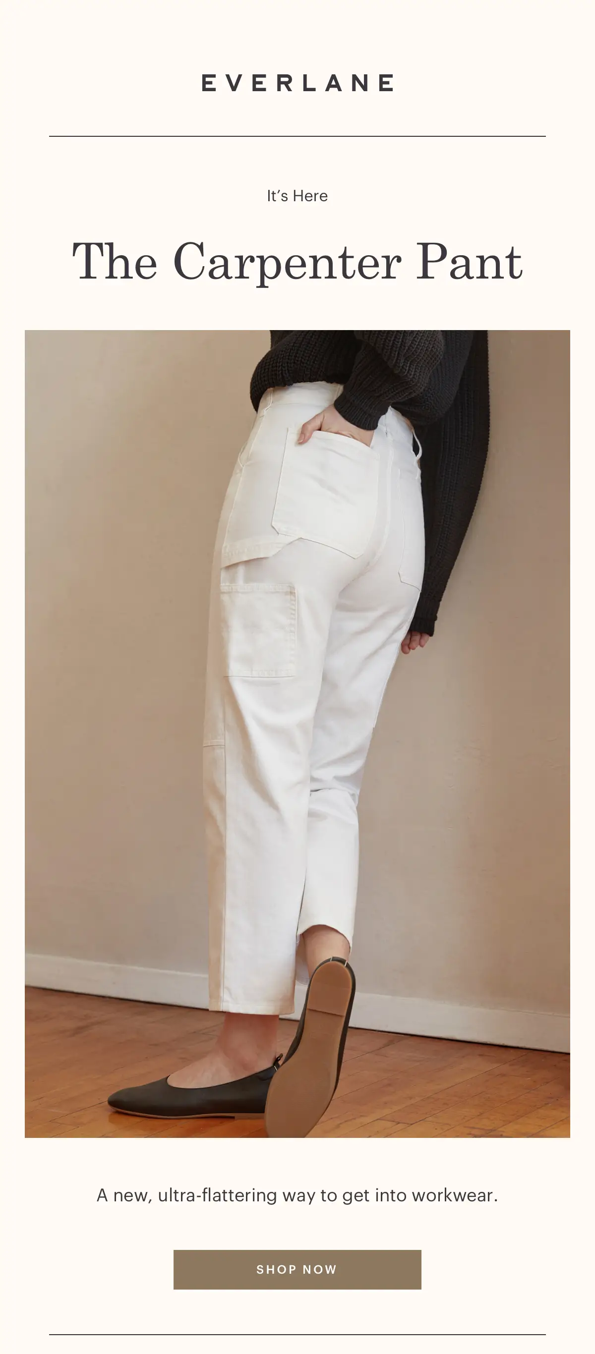 Everlane best sale carpenter pant