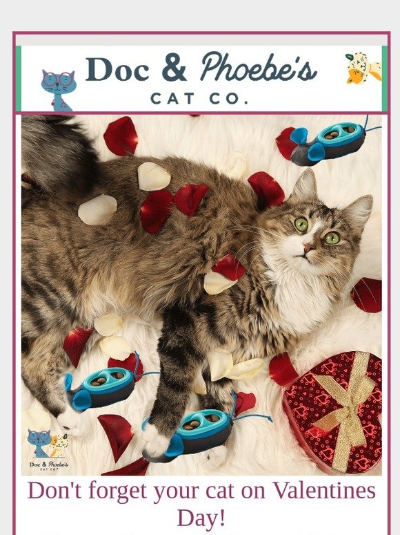 15% off - shower your cat in love!