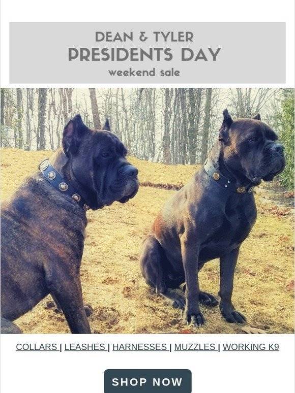 Presidents Day Weekend Sale 🐶