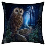 Way of the Witch Cushion