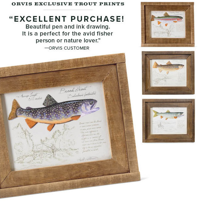Orvis Right now! Up to 60 off. Take an extra 20 off in the online