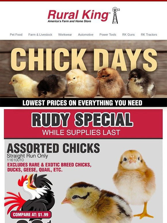 Rural 🐥 Chick Days Are Here! 🐥 Milled