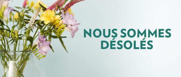 Nous sommes désolés !