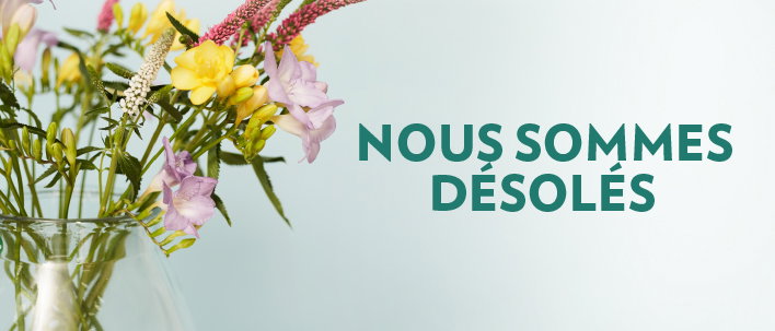 Nous sommes désolés !