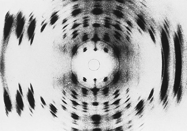 An X-ray diffraction image of part of a molecule of DNA.