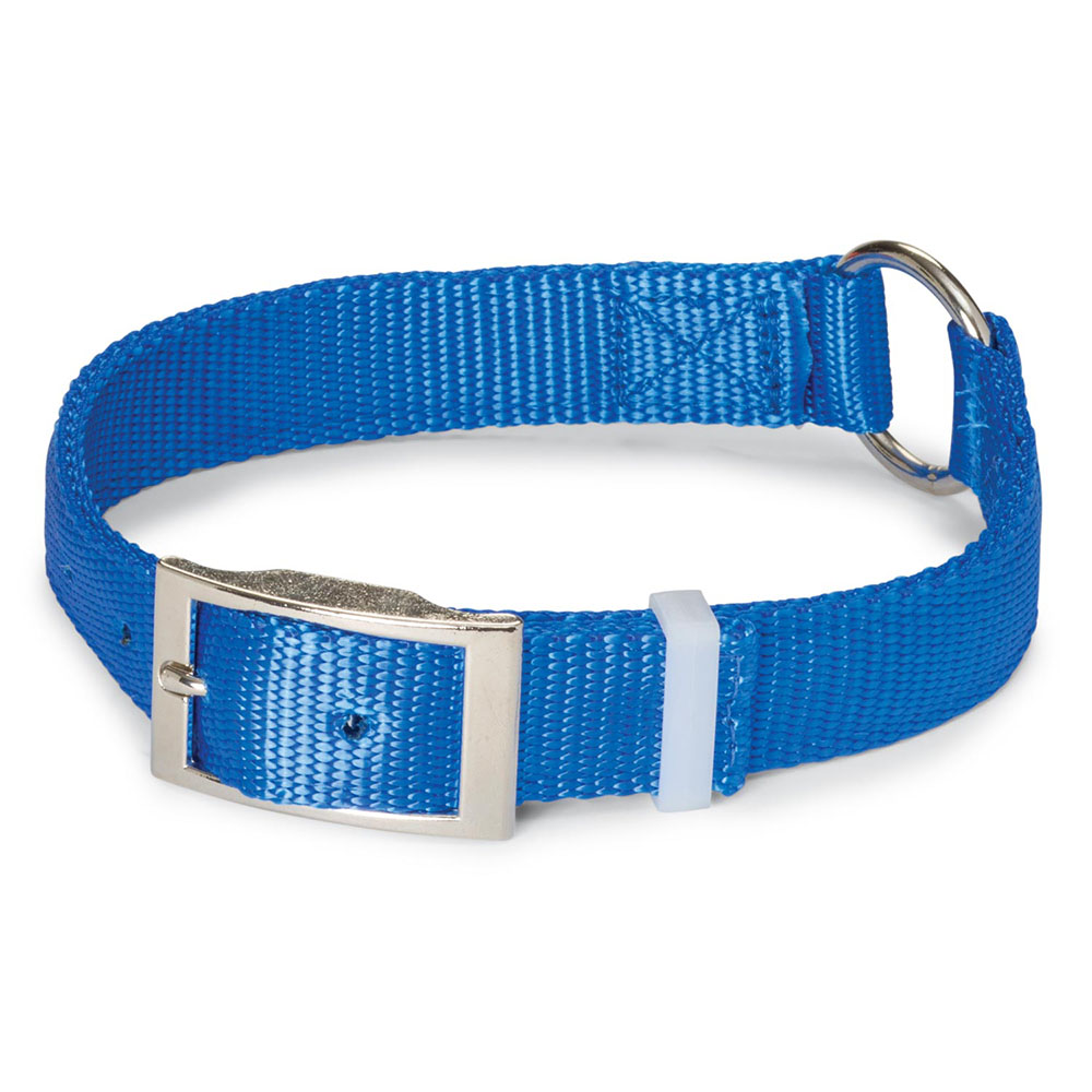 nite lite collars