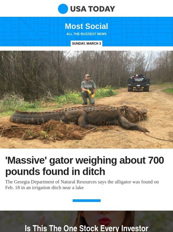 USA TODAY: Most Social: 'Massive' alligator weighing about 700 pounds found in ditch | Milled