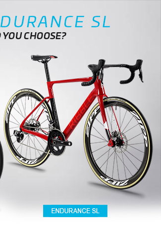 Endurance SL Endurance SL
