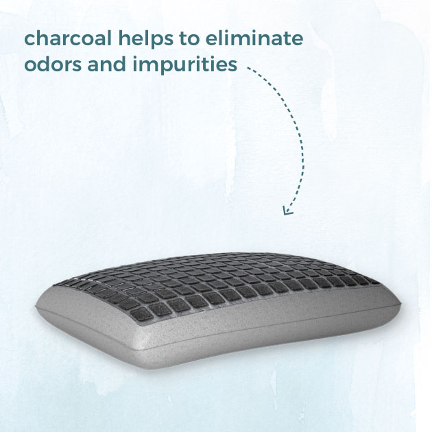 hydraluxe charcoal pillow