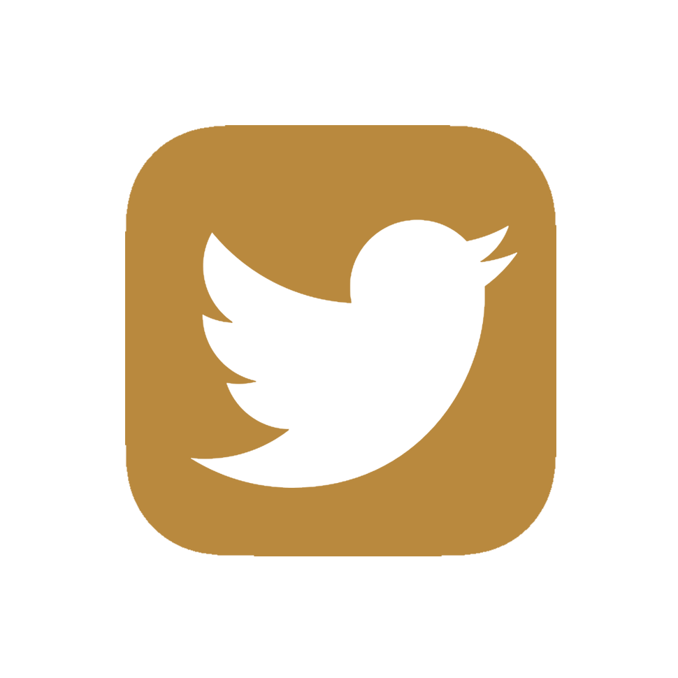 logo Twitter