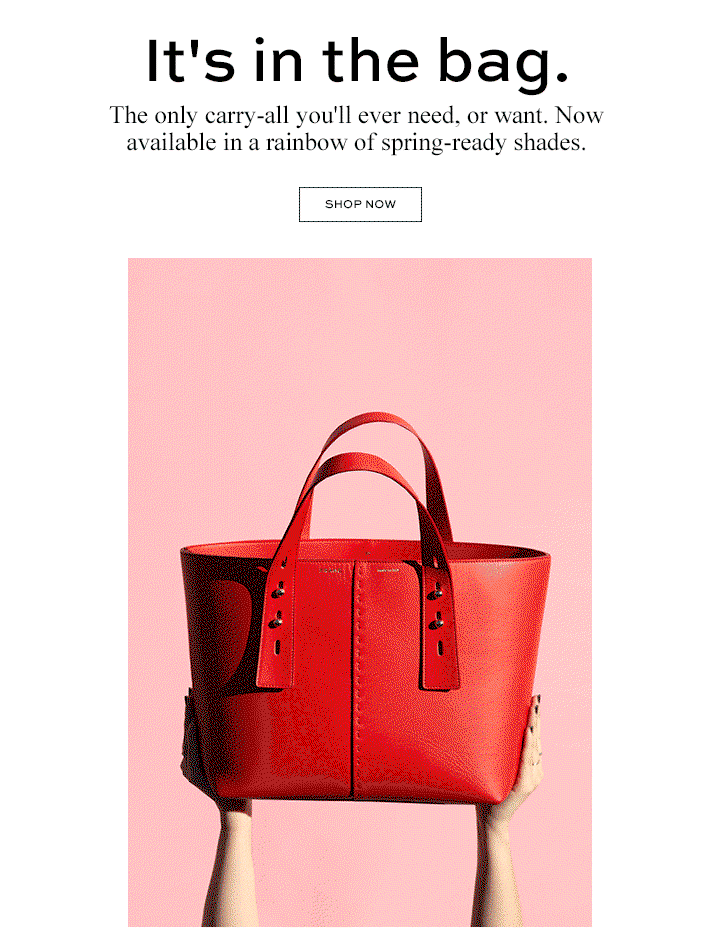 It's in the bag. The only carry-all you'll ever need.