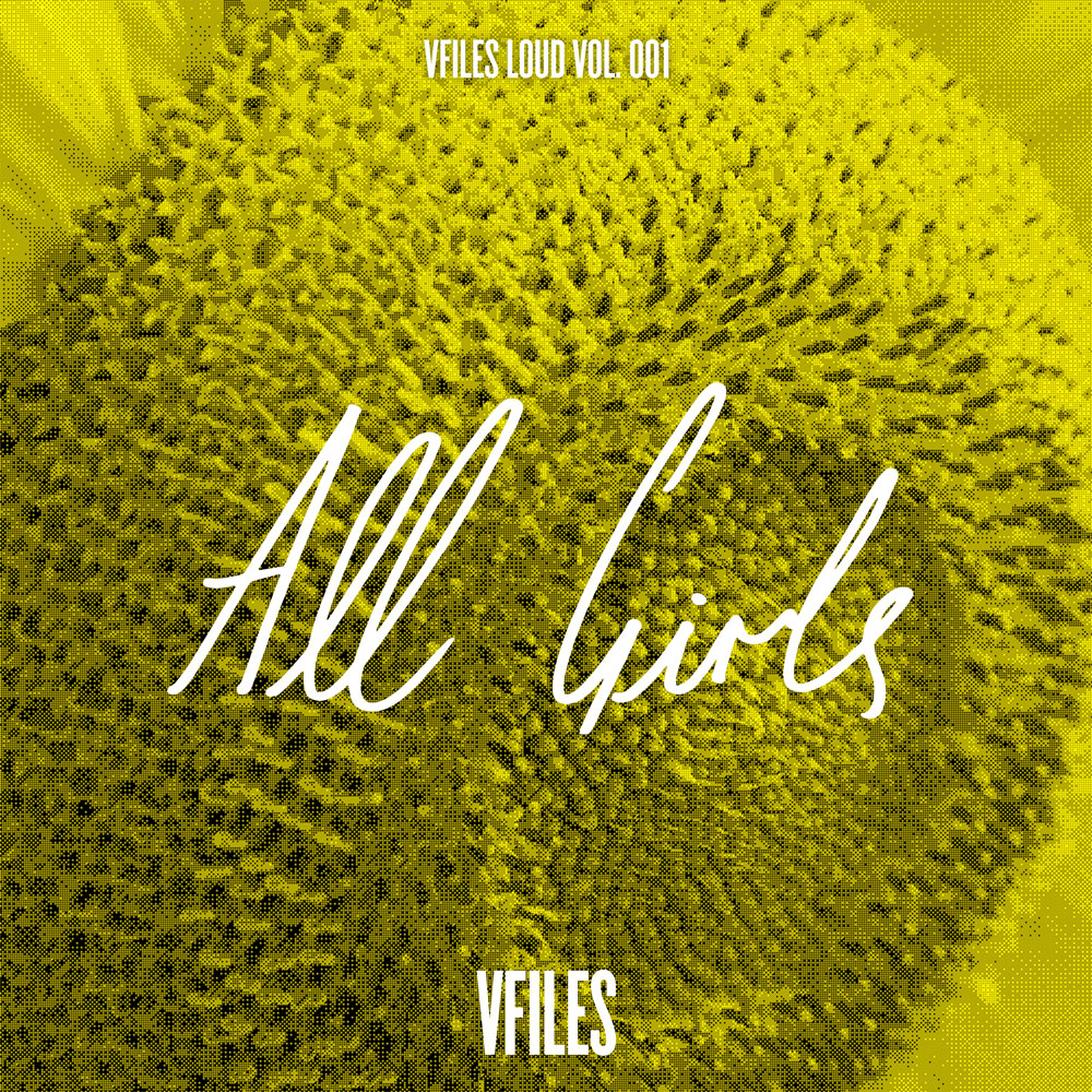 Vfiles Loud Vol 2 Fake Id