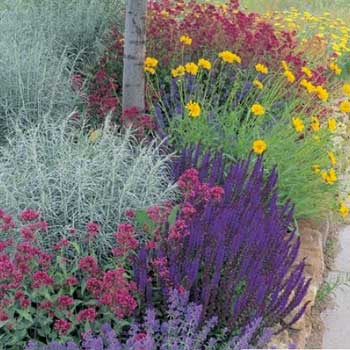 Jumbo Waterwise Pre-Planned Garden