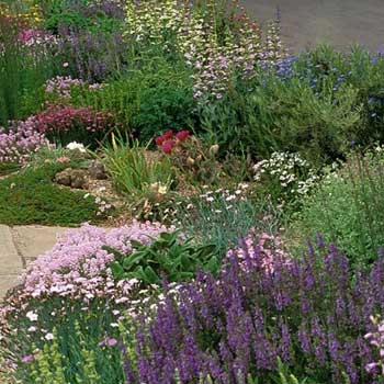 Soft Colors Inferno Strip Pre-Planned Garden