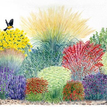 Habitat Hero Birdwatcher Pre-Planned Garden