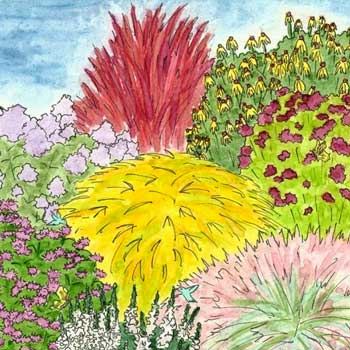 Rain Garden Pre-Planned Garden